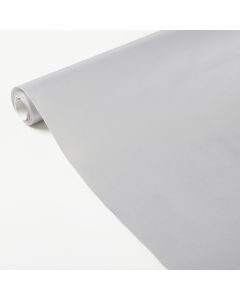 Poster Paper Roll 760mm x 10m Silver