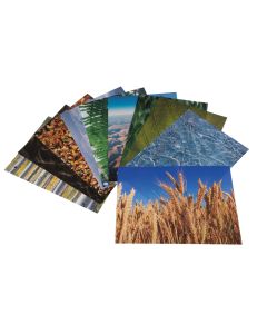 A4 Nature's Trail Paper Assorted Pack of 40