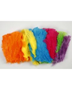 Feathers Bright Spring