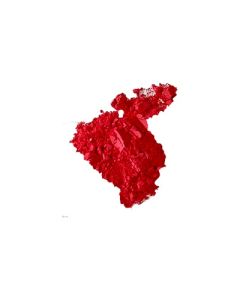 Powder Paint Brilliant Red 2.5kg