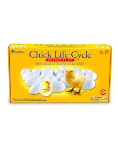Chick Life Cycle Exploration Set