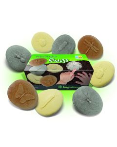 Let's Investigate Bugs Pack of 8
