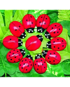 Ladybugs Counting Stones