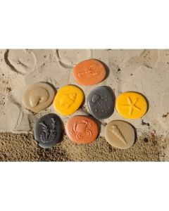 Let's Investigate Seashore Pack of 8