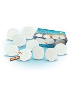 Let's Investigate Polar Footprints Pack of 8