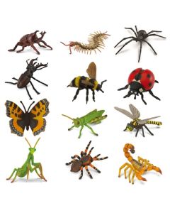 Insect Set