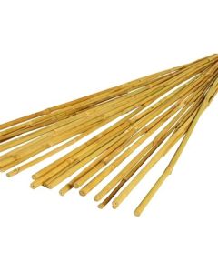 Bamboo Sticks Pack of 20