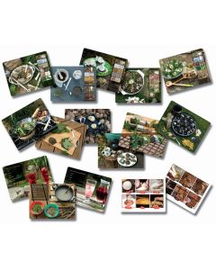 Mud Kitchen Activity Cards