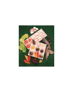 10 Frame Tray