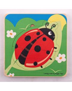 Lifecycle Puzzle Ladybug