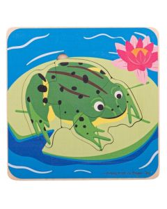 Lifecycle Puzzle Frog