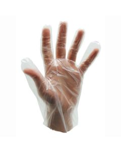 Non-Sterile Disposable Gloves Large Pack of 100