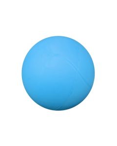 Uncoated Foam Ball 20cm Blue