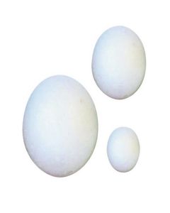 Polystyrene Egg Shapes White Pack of 30