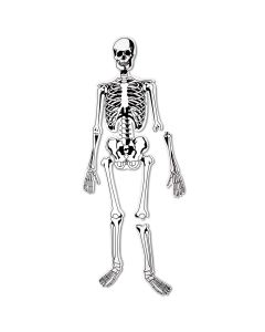 Skeleton Foam Floor Puzzle