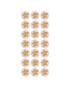Sparkly Stars Gold/Silver Pack 720