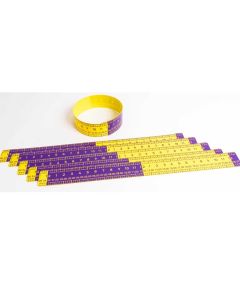 Pupils Elapsed Time Ruler Pack of 6