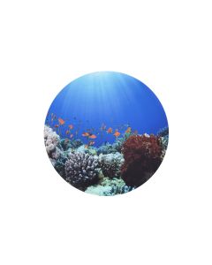 Under the Sea Discovery Play Mat