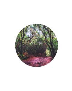Forest Discovery Play Mat