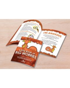 Little Book of Big Worries