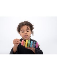 Rainbow Wooden Shape Twister