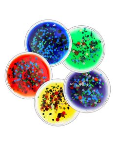 Squidgy Sparkle Circles Pack of 5