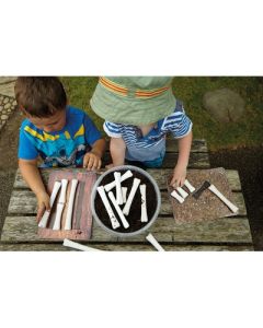 Match And Measure Bones Pack of 16