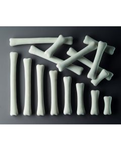Activity Cards  Match And Measure Bones Pack of 16