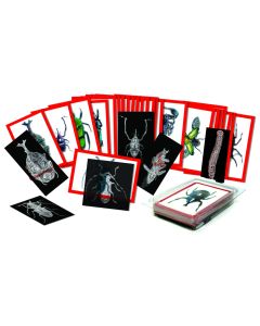 Insect X-Ray and Picture Cards