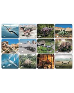 Dinosaur Picture Cards and X-Rays