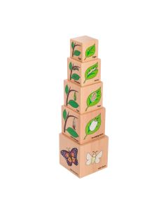 Life Cycle Wooden Blocks