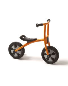 Circleline Large Bike Runner