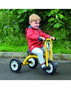 Wisdom Small Trike
