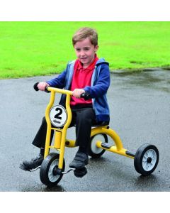 Wisdom Medium Trike