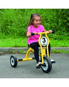 Wisdom Large Trike