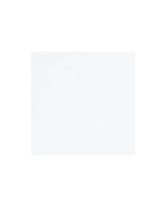 Tiziano Pastel Paper 160gsm. White. Each