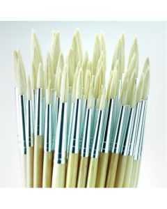 Essential Round Hog Brush Bulk Pack. Pack of 45