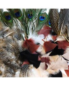 Natural Feathers Assorted Bumper Pack