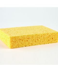 Sponge