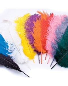 Ostrich Plumes