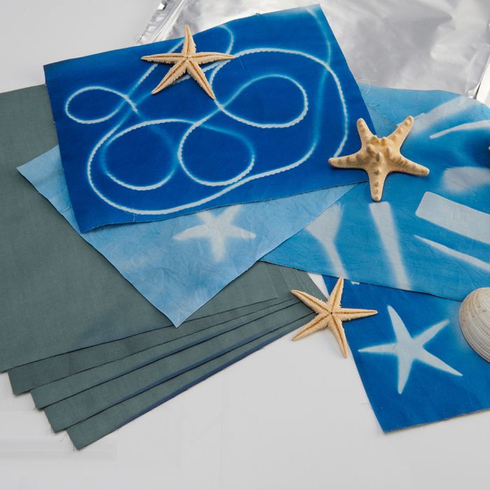 Specialist Crafts Blue Print Fabric