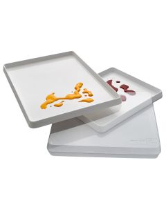 Painting Trays