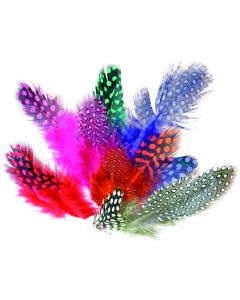 Coloured Spotted Feathers - 10g Bag