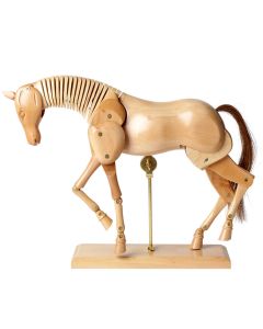Specialist Crafts Wooden Anatomical Horse
