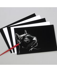 Scraperboard Set
