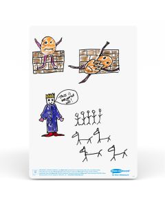 Show-Me Plain Drywipe Boards
