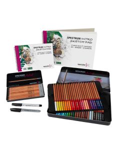 Colour Sketching ARTIST Packs