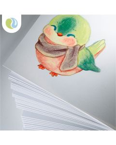 Specialist Crafts Heavyweight Cartridge Paper 220gsm