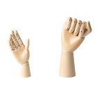 Specialist Crafts Anatomical Hands