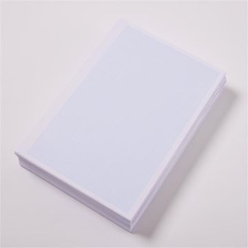 A4 Loose Leaf Paper Blue Squared 2 10 20mm Graph 1 Ream